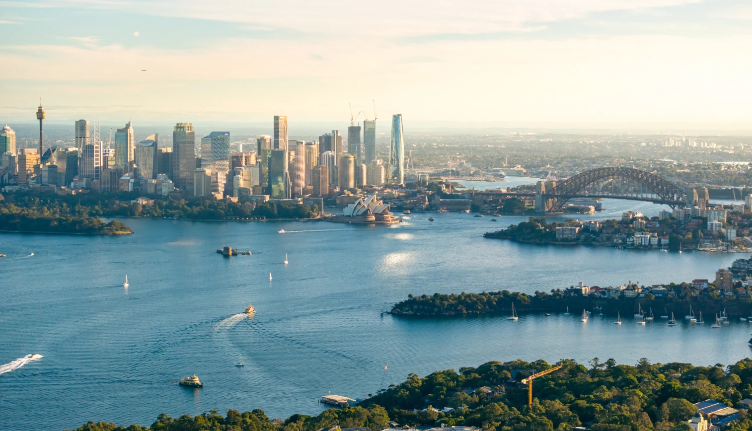 Customer review background