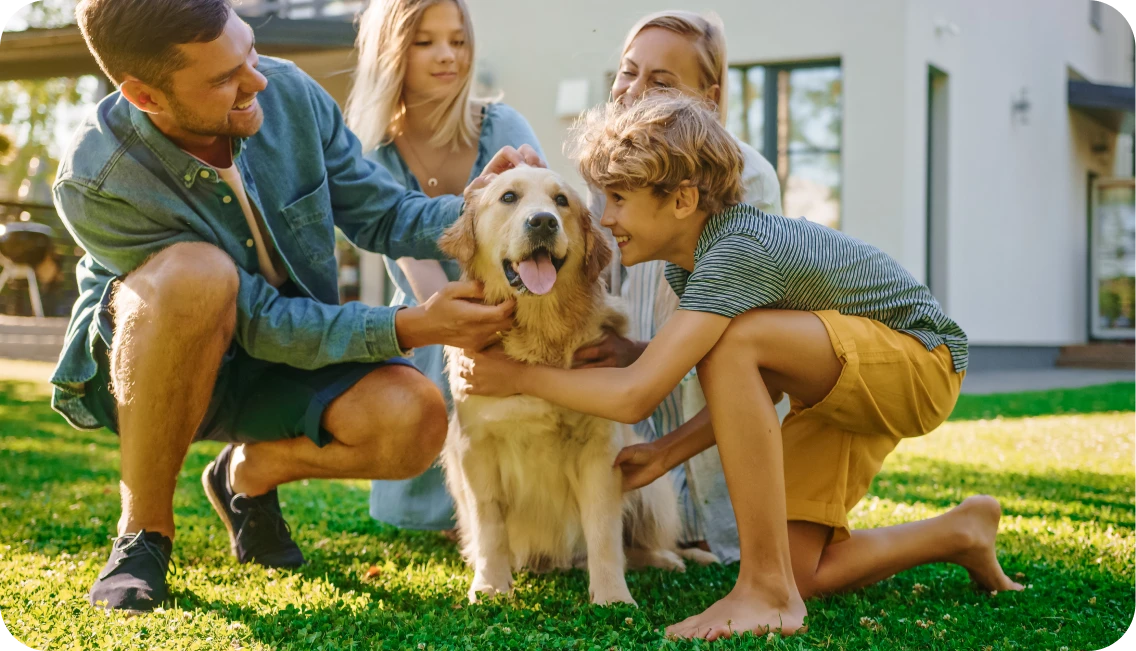 Homeloan